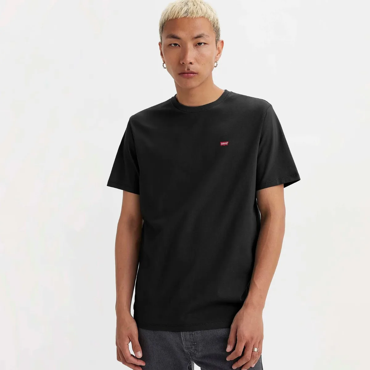 Levi's® Men's Original Housemark T-Shirt - M,L